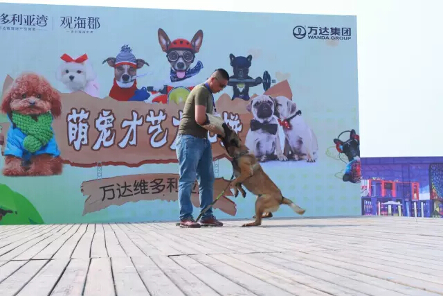 鏉ヨ繖閲屾劅鍙楃儫鐏皵鍜屽褰╀笉澶滃煄,鏉ヨ繖閲屼綋楠屼笘澶栨婧愮殑鎰熻