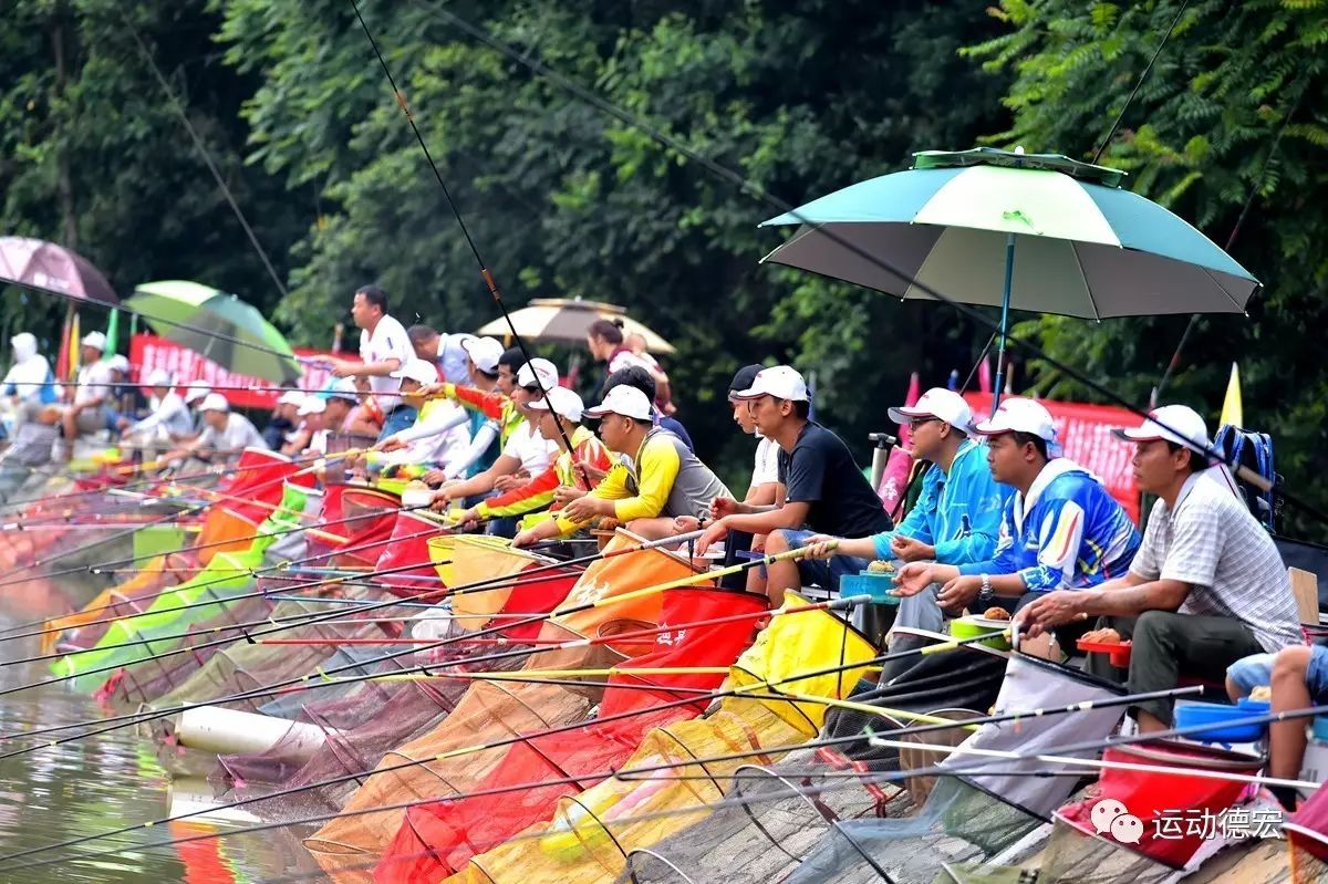 全民健身记,全民运动日志