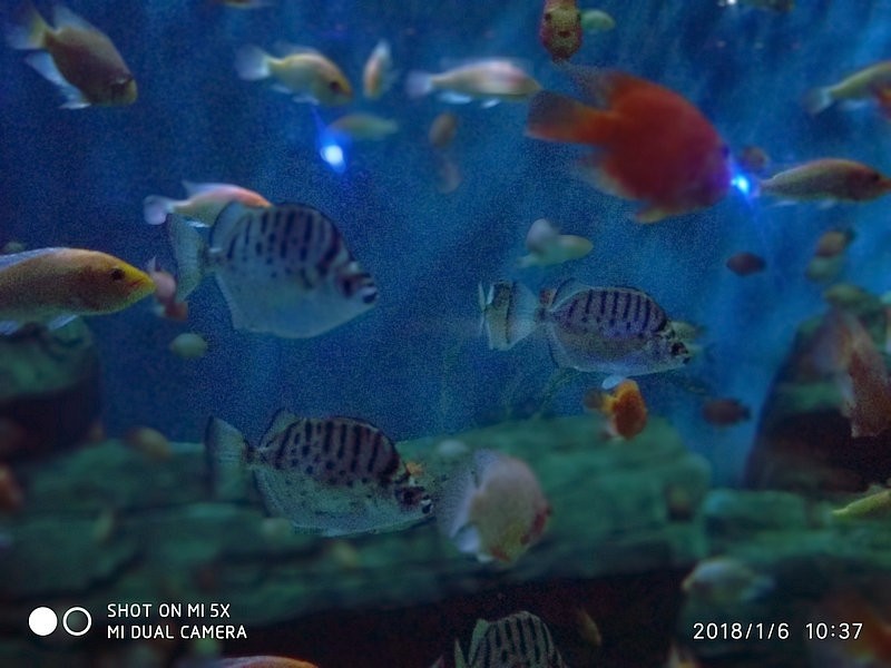 自驾游环游中国路线安徽出发,开封至安徽黄山自驾游攻略