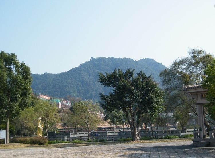 厦门一日游视频,厦门旅游最新最全消息