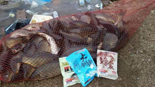 化氏速散颗粒适合用什么饵料钓,化氏不空军饵料和蓝鲫哪个好用