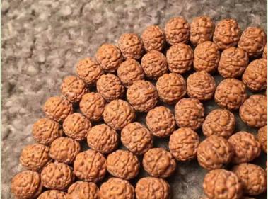 六瓣金刚菩提与七瓣金刚菩提,金刚菩提六瓣20mm的多少钱