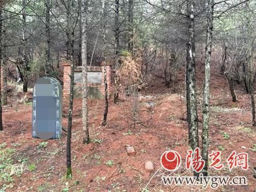 倒卖公墓由纪委还是公安机关查处,倒卖祖坟山土方如何举报