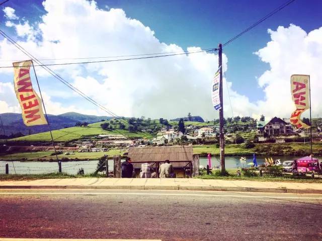 义工旅行自由行,新西兰义工旅行