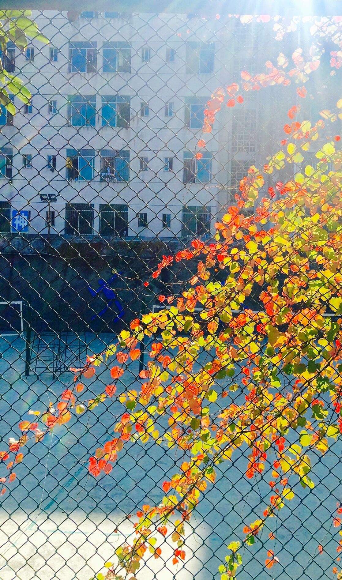 选一款吧！从此攀大就掌握在你手里了！