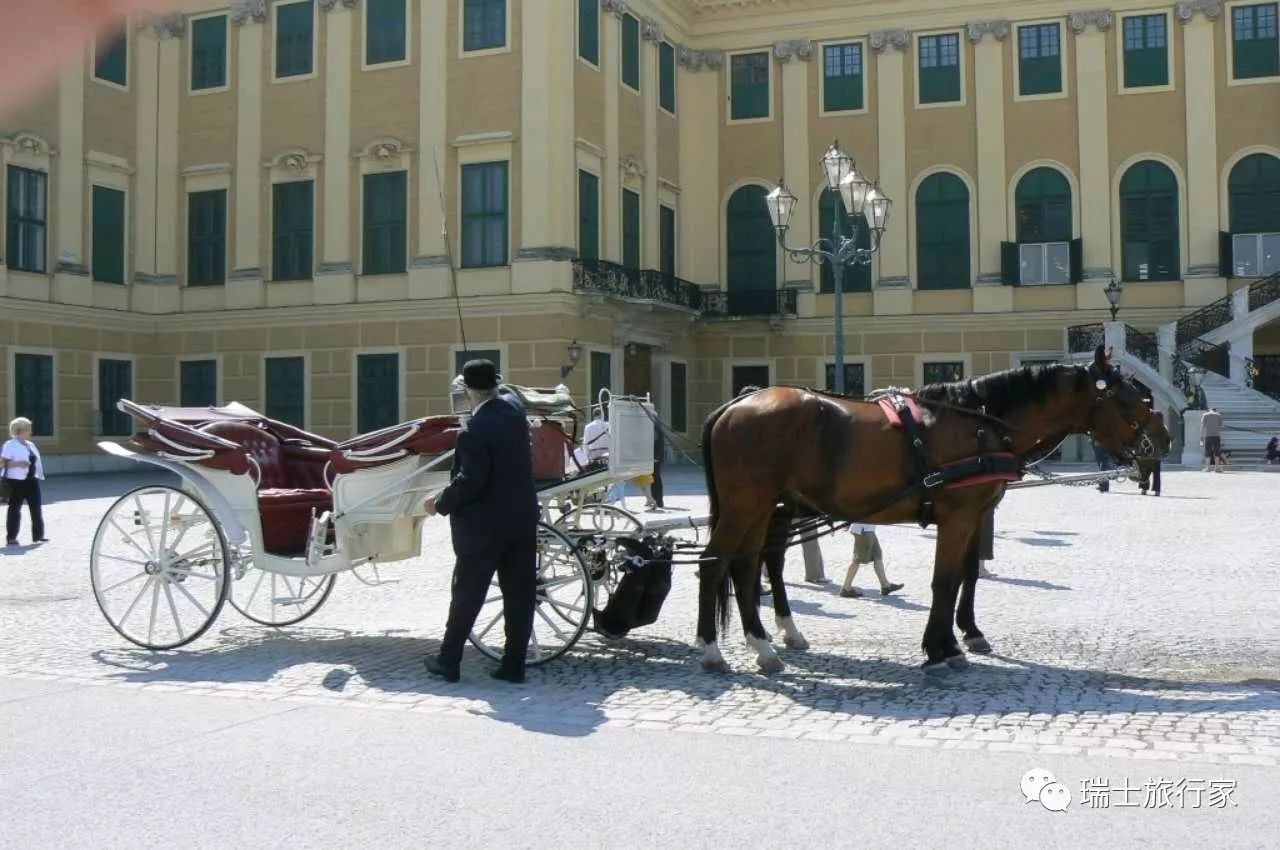 去德国见新纳粹、去西班牙看梅西、去奥地利找另一个故乡——“文化之旅”系列节目第7期