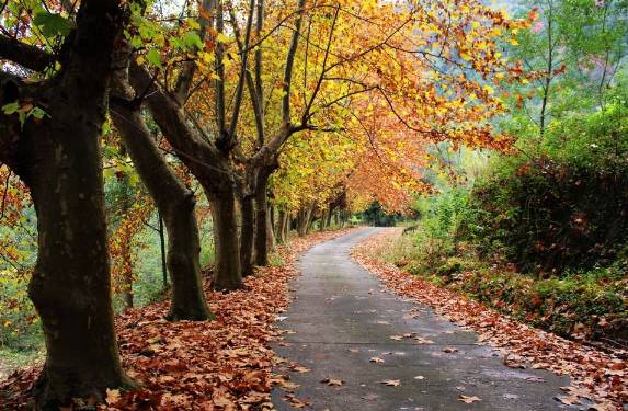 汉中一日游攻略高铁,汉中周边2-3天短途旅游坐高铁