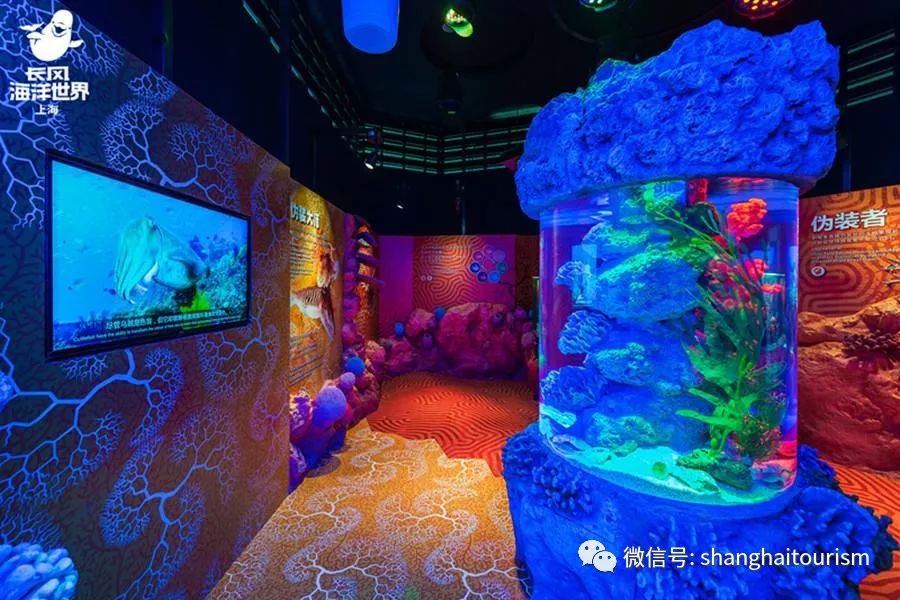 一年只有一次能进入的景点,办年票可以去哪些景区