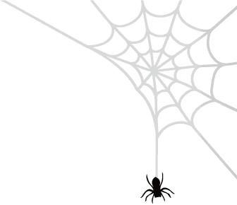 屋里发现一只蜘蛛,屋子里发现蜘蛛