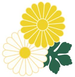 记忆里的那些花儿｜石榴花开，生如夏花之绚烂