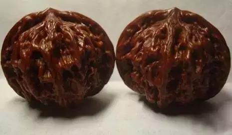 文玩核桃品种图鉴大全前十名,文玩核桃手串品种大全