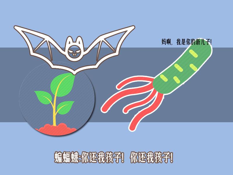 为什么网上说的冬虫夏草那么贵 (网上冬虫夏草为什么那么便宜)