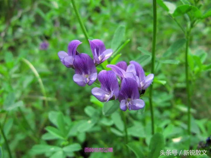 乡下通自来水,老家通暖气