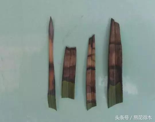 花卉黄叶怎么处理最简单的方法,让花卉快速生长不黄叶的小方法