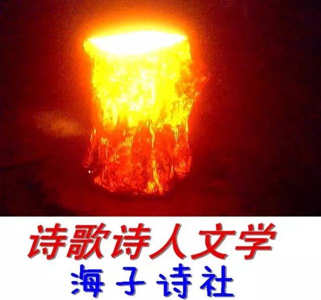 远个诗歌：阳光射在你干净的脸上