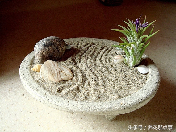 在办公室里应该摆什么样的花,高山流水盆景办公室小禅意
