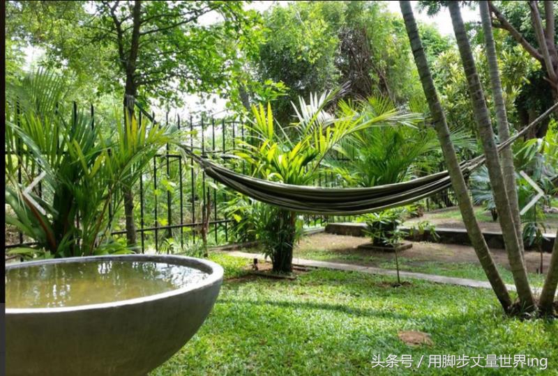 斯里兰卡旅游民宿排名第一,斯里兰卡私人民宿推荐