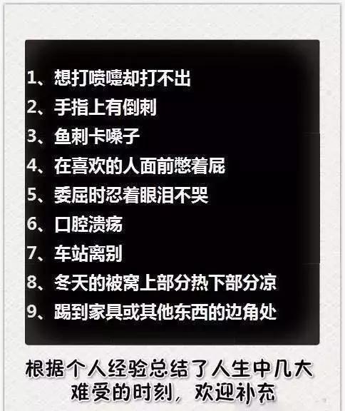 荷兰猪的牙有几个,荷兰猪的牙齿啥颜色