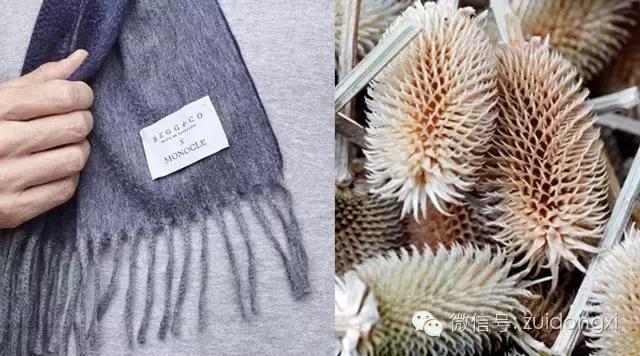 穿那么多件衣服，不如戴一条围巾