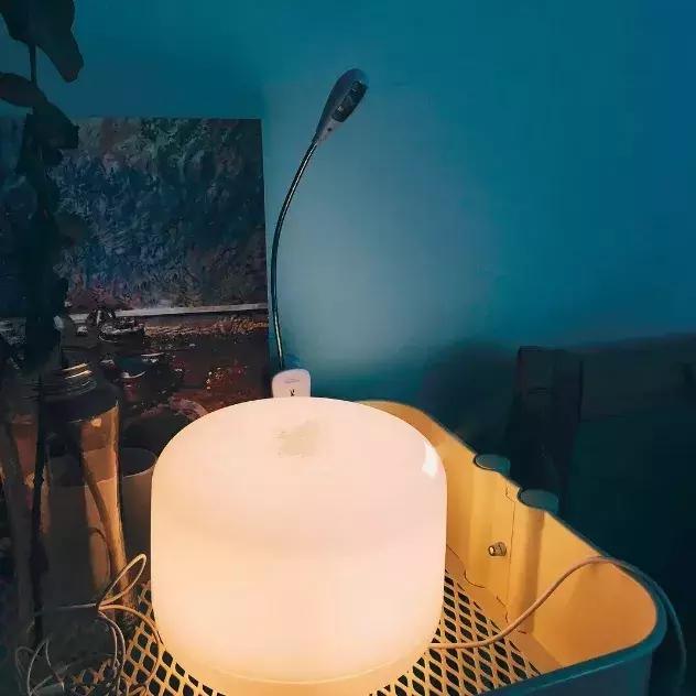 拒绝凑合——留学生dorm公开（内附提高日常幸福感小物推荐）