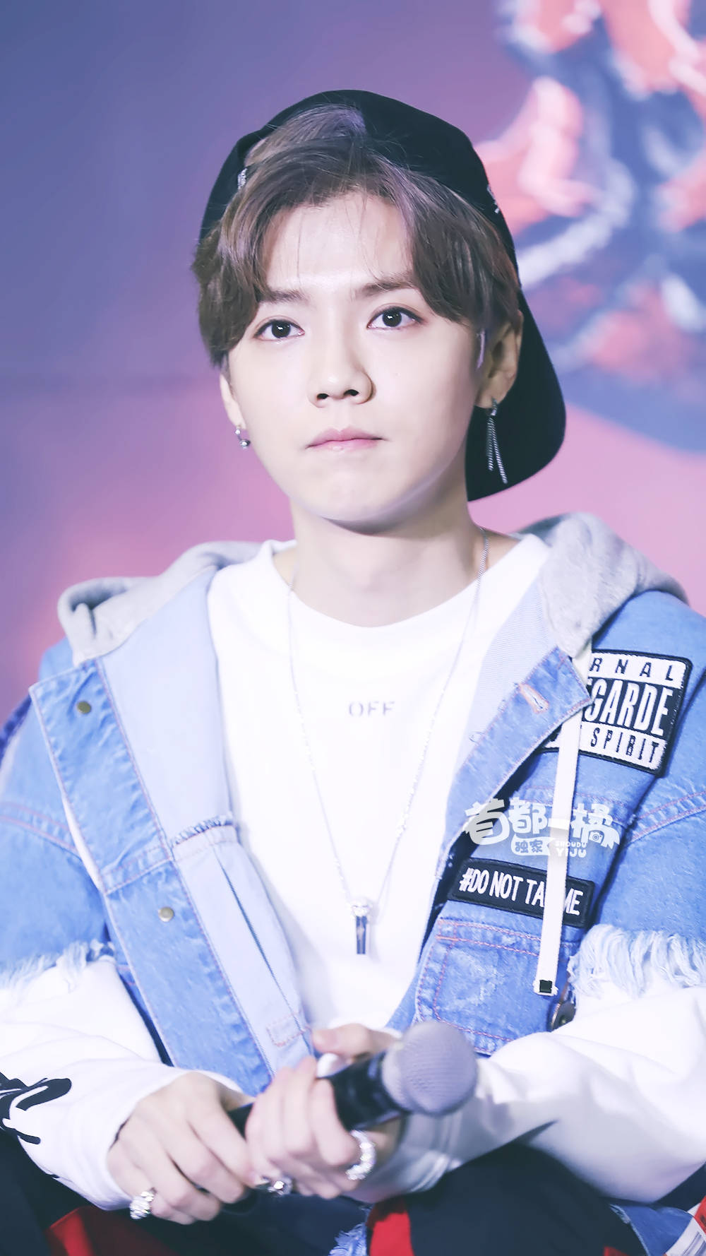 鹿晗手机壁纸樱花鹿,鹿晗壁纸手机超清全面屏