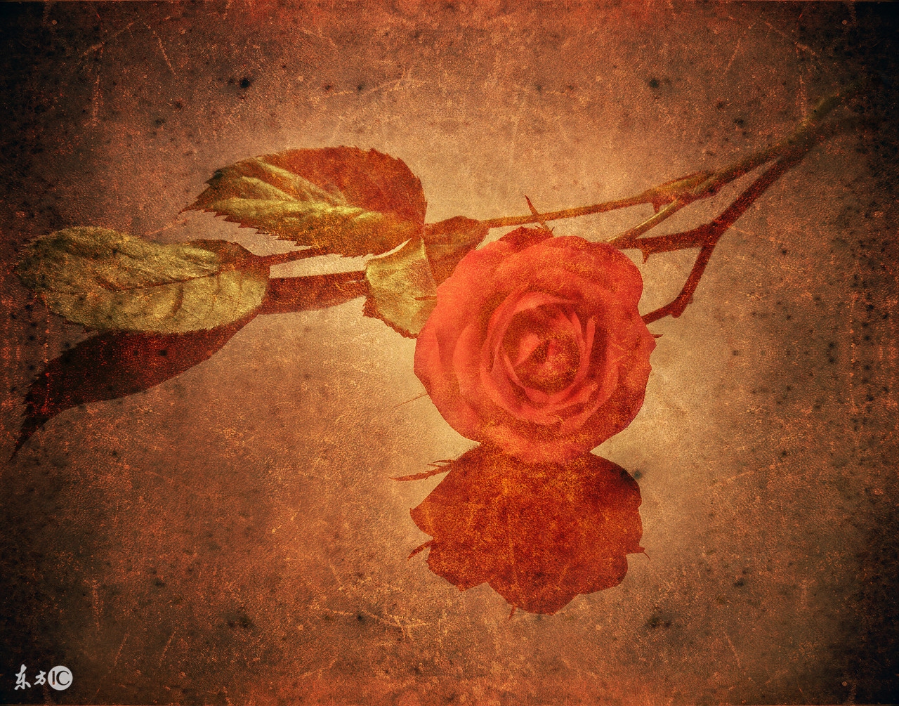 十二星座冷战后主动认错,一招化解冷战