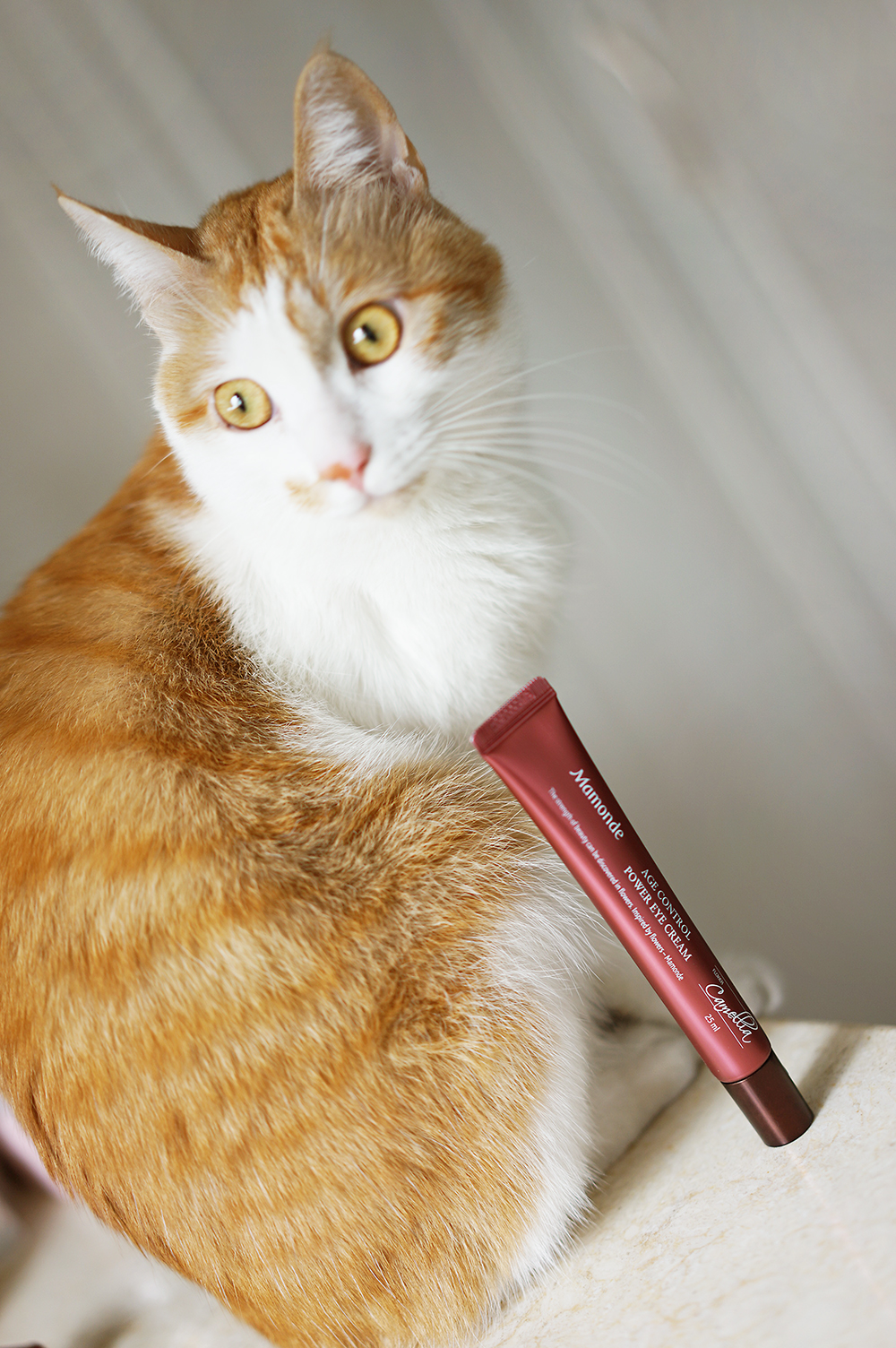 梦妆山茶凝时修护菁华眼霜套盒,菁纯臻颜焕眼霜测评