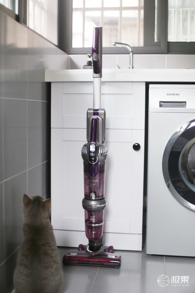 猫奴必做攻略,猫奴必看喵星人