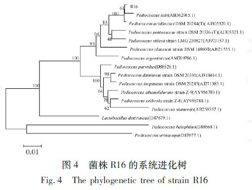 以创新性思维进行产细菌素的饲用乳酸菌的分离与鉴定|微生态前沿