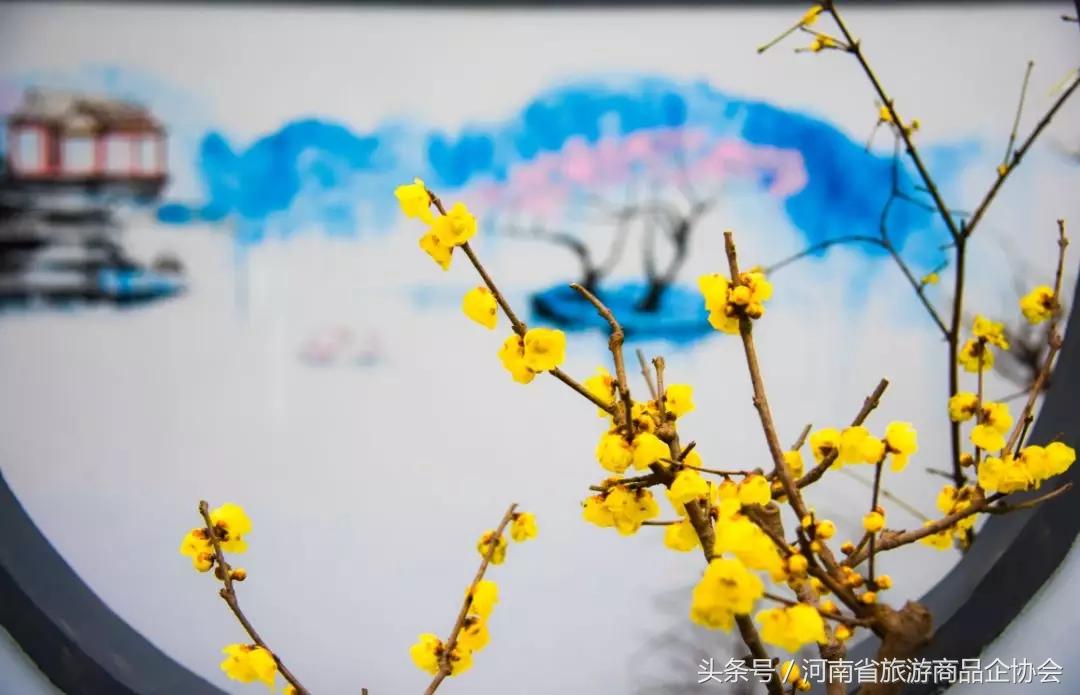 玩转河南冬天,玩转河南许昌