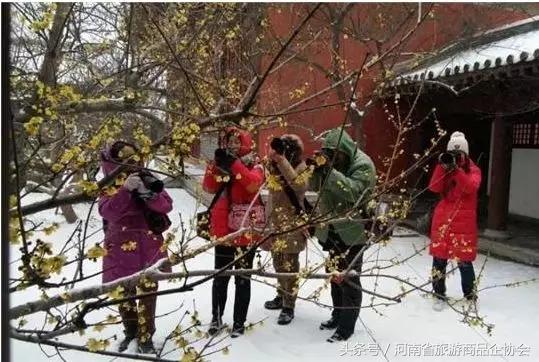 玩转河南冬天,玩转河南许昌