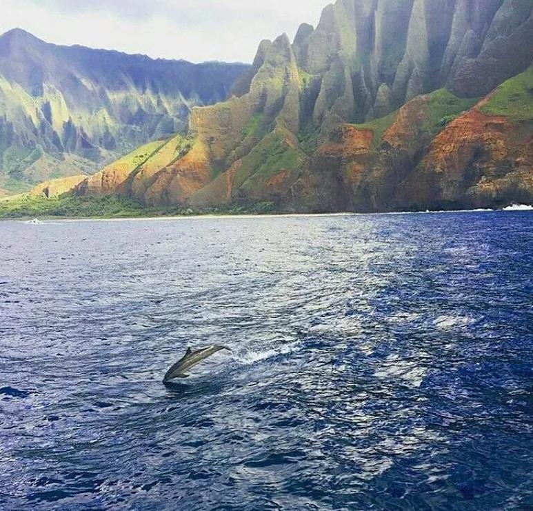 侏罗纪世界公园取景地,侏罗纪公园拍摄地点在哪里