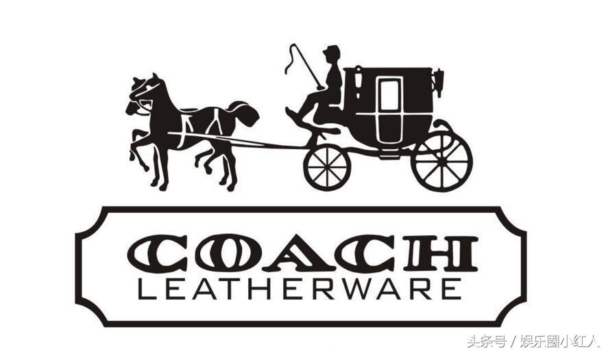 coach蔻驰city33黑灰色会小一点吗,coach蔻驰willow单肩斜挎小包相机包