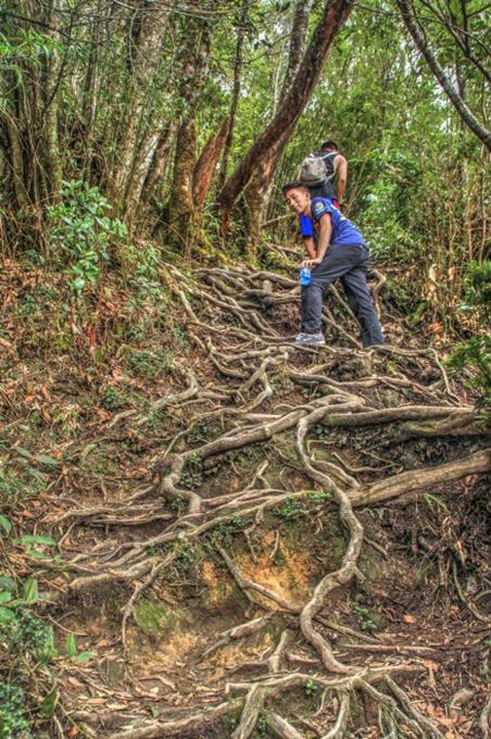 三亚旅游攻略纪念品,自驾游海南三亚必备物品清单
