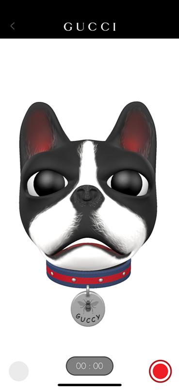 古驰小狗短袖,古驰小狗