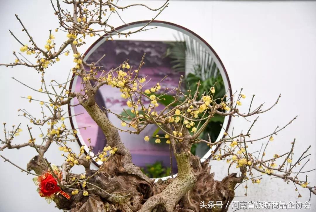 玩转河南冬天,玩转河南许昌