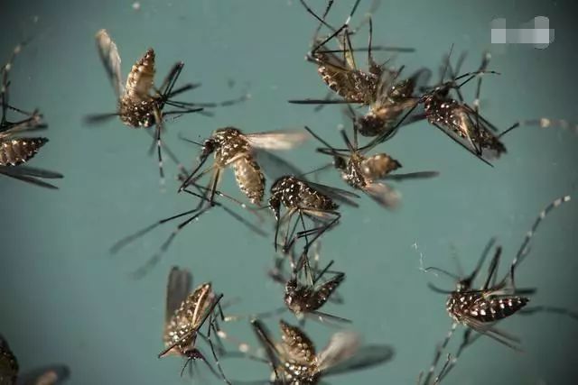 现在的商品房顶楼真的不能买吗,商品房顶楼值得购买吗