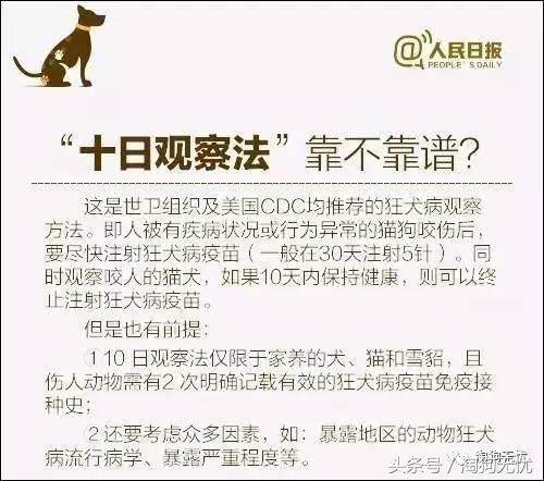 求助小猫被绳子缠住后续,被猫抓了要去打针吗