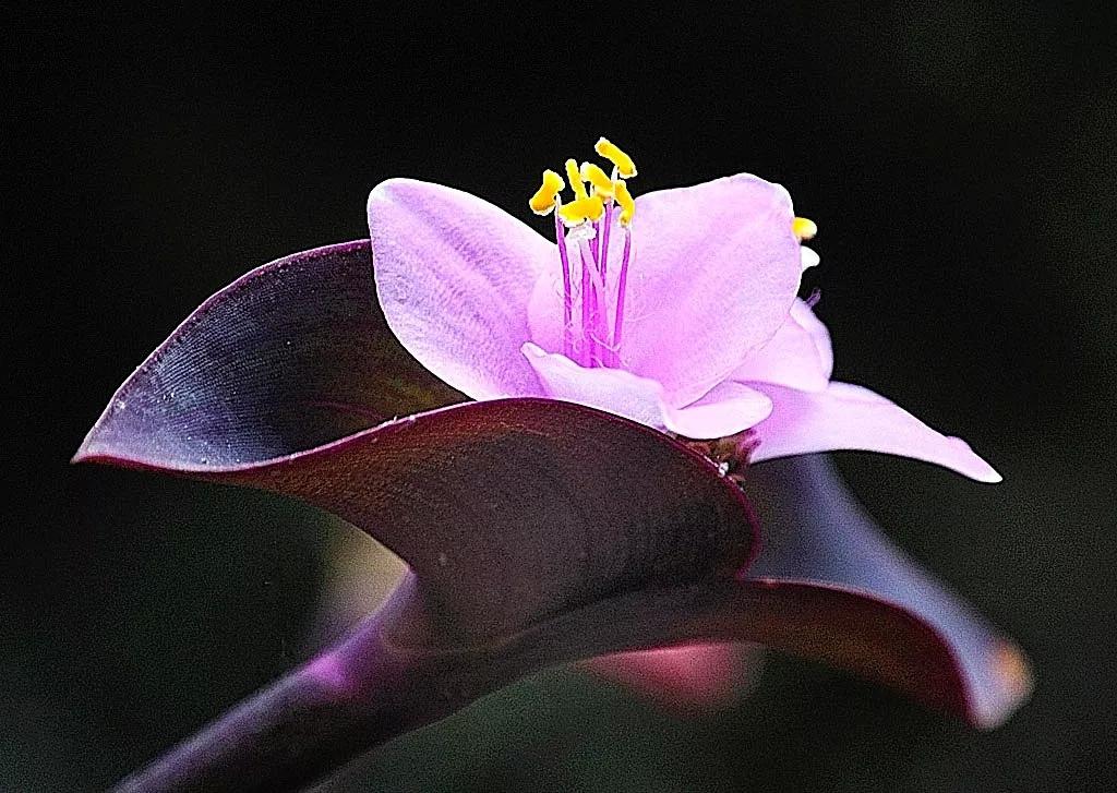 2019年春夏棉麻廓形,做一个荣辱不惊之人!