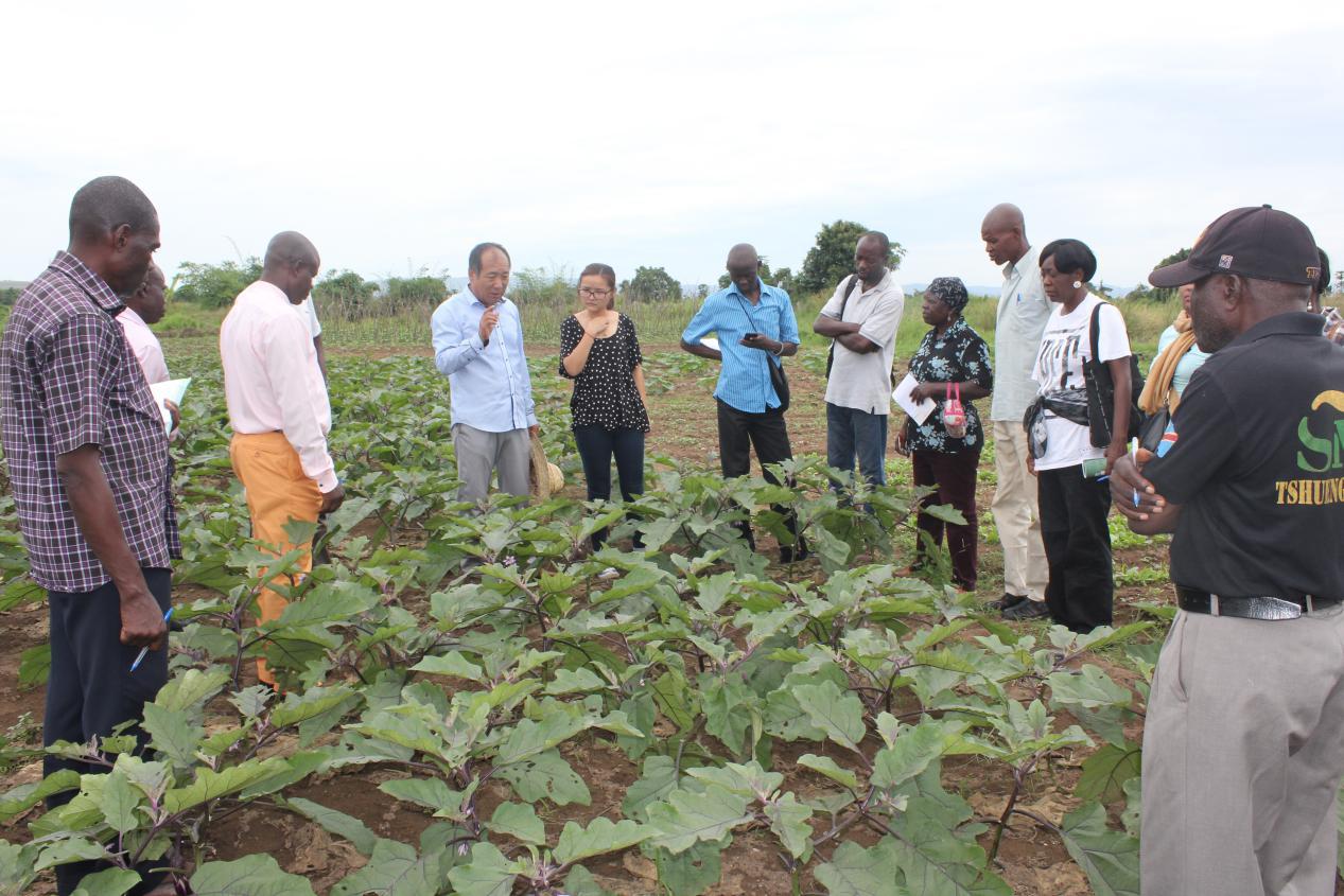 舍小家为大家点赞的视频,刚果金农业示范中心