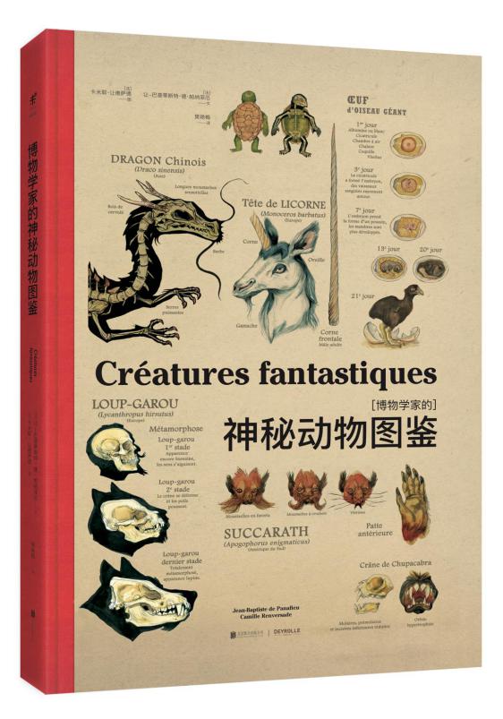 寒假生活指导之太空探秘,如何度过有意义的寒假家庭教育