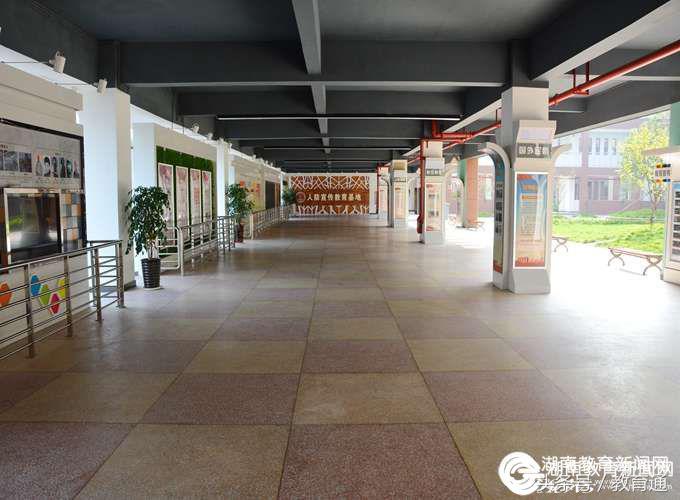 江南区好的小学,身边的好学校80中