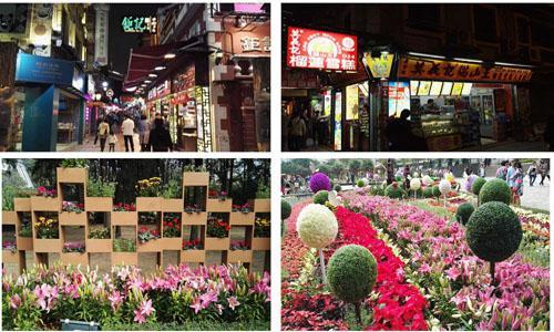 澳门威尼斯人晚上可以去吗,一天去澳门威尼斯攻略