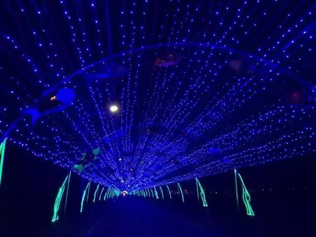 来哈尔滨体验冰雪文化,来哈尔滨带你赏雪