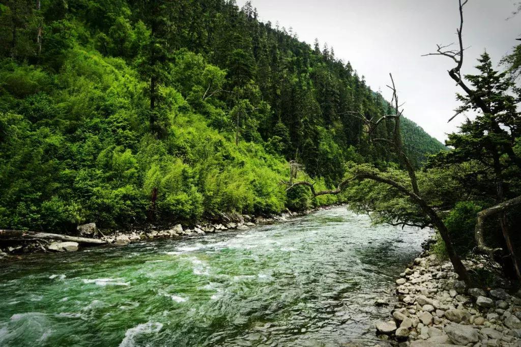 拉林高速最美段,公路的颜值