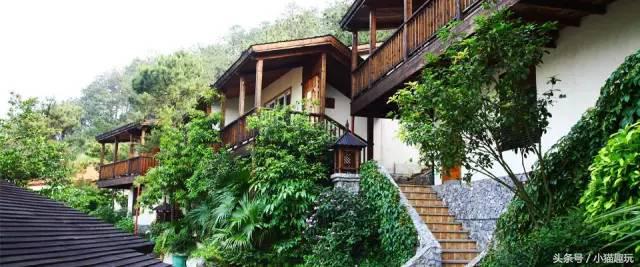 广东清远市英德奇洞温泉度假村,英德望埠奇洞温泉度假门票2021