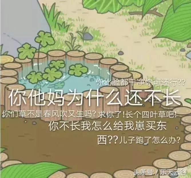 你那爱旅行的青蛙儿子,最近去乐天云谷了~