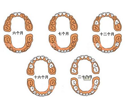 宝宝长牙喝母乳会咬怎么办,宝宝长牙怎么避免喂奶被咬