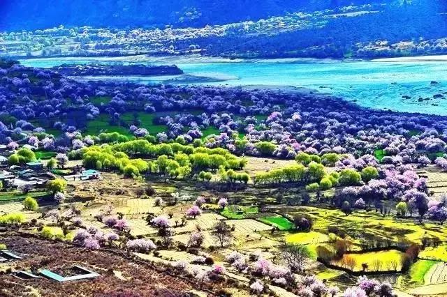 拉林高速最美段,公路的颜值