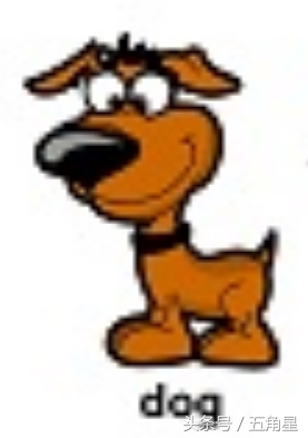 各种动物的英文单词视频,2-8岁儿童学动物英文单词